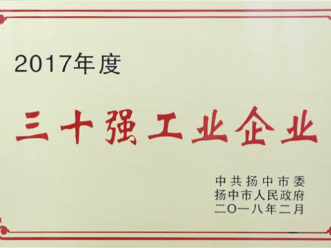 海博论坛集团提升2017年度扬中市“三十强”前五位